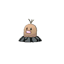 Taupiqueur d'Alola image