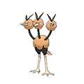 Dodrio image
