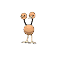 Doduo image