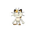 Miaouss image