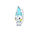 Pachirisu image