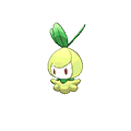 Chlorobule image