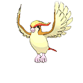 Roucarnage image