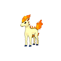 Ponyta image