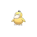 Psykokwak image