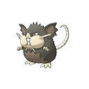 Rattatac d'Alola image