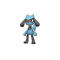 Riolu image
