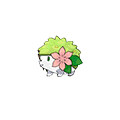 Shaymin image