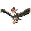 Etouraptor image