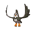 Etourvol image