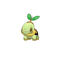 Tortipouss image