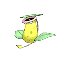 Empiflor image
