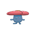 Rafflesia image