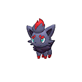 Zorua image